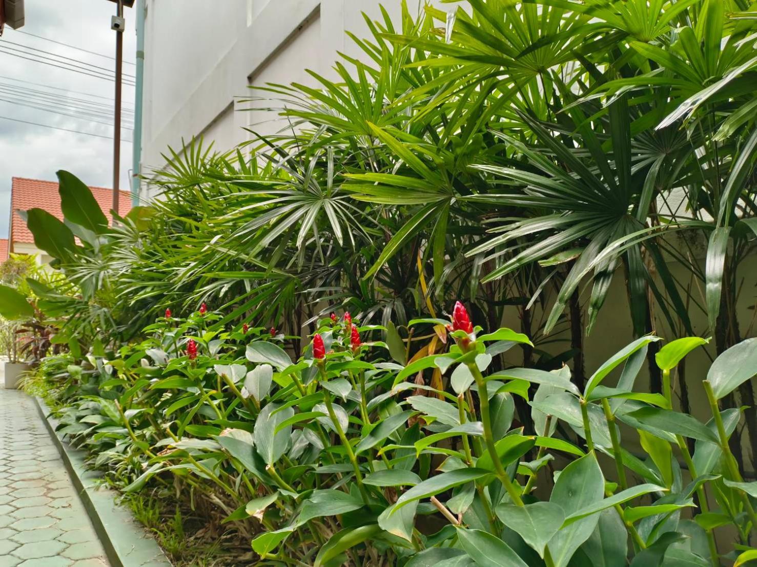 Aphilapa Residence Chiang Mai Esterno foto